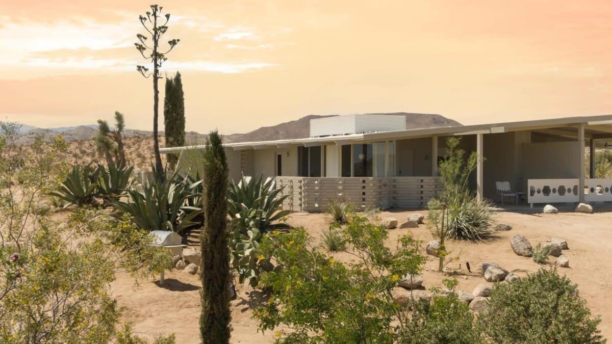 The Bungalows By Homestead Modern Joshua Tree Dış mekan fotoğraf
