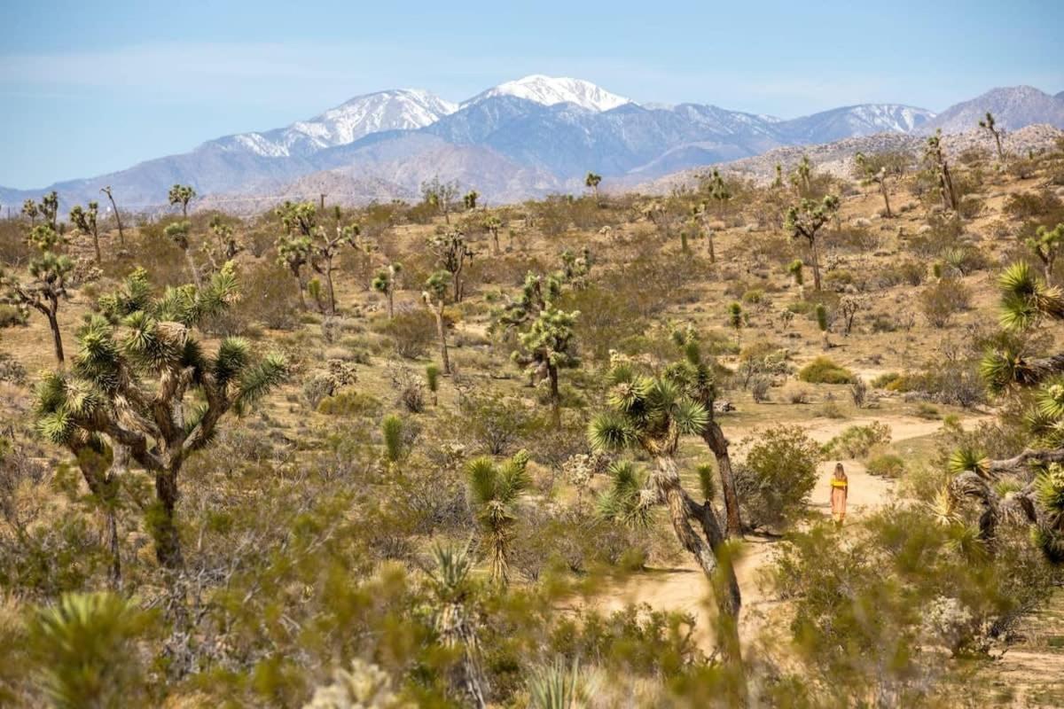 The Bungalows By Homestead Modern Joshua Tree Dış mekan fotoğraf