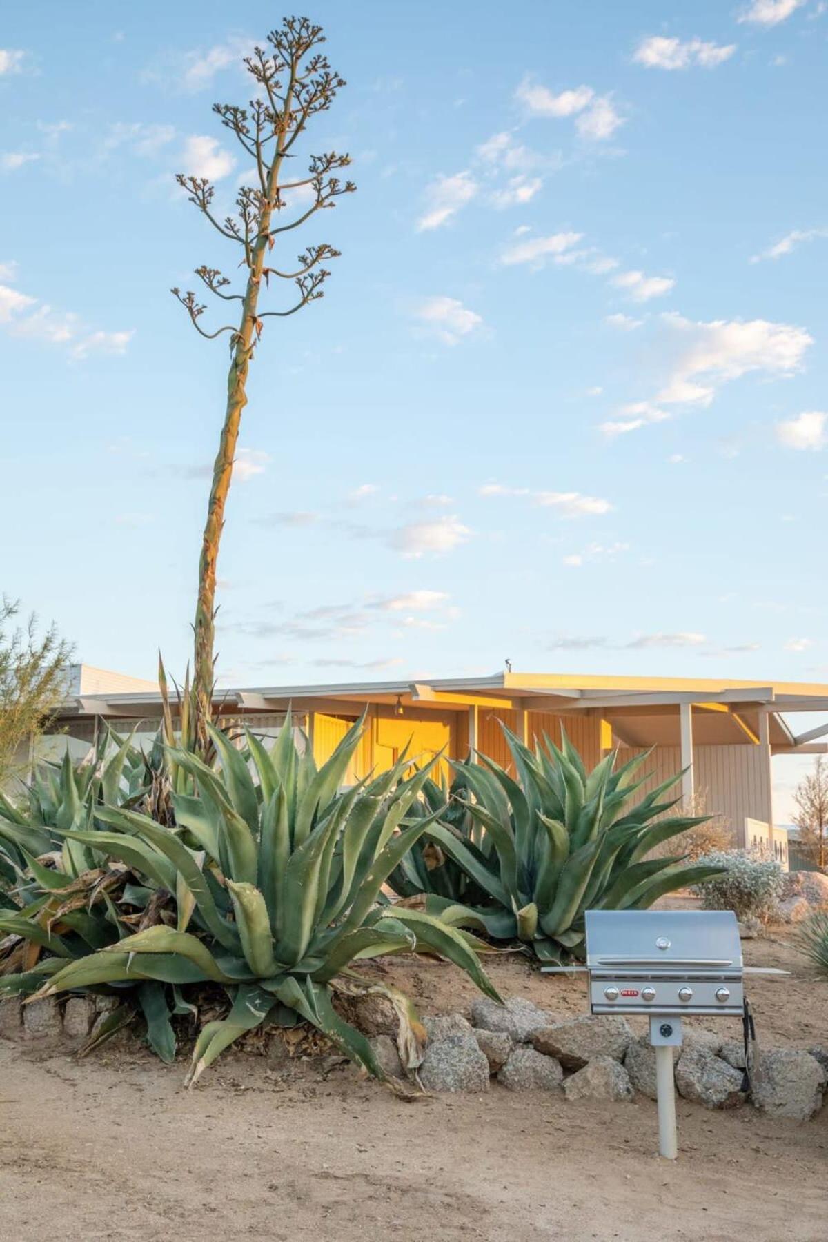 The Bungalows By Homestead Modern Joshua Tree Dış mekan fotoğraf